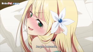 Tsurupeta Shugo Kishi Elfina Ochiru Episode 1 Subtitle Indonesia