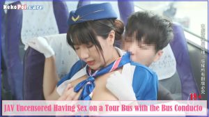 [Uncensored] Having Sex on a Tour Bus with the Bus Conducto