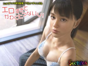 [3D] Shohei Jikkyou Haishin Adult Channel