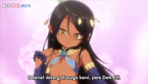 Tsurupeta Shugo Kishi Elfina Ochiru Episode 2 Subtitle Indonesia