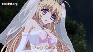 Baka na Imouto wo Rikou ni Suru no wa Ore no XX Dake na Ken ni Tsuite Episode 4 Subtitle Indonesia